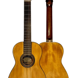 Vicente Arias 1889